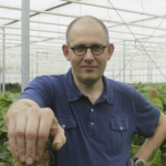 Belgische kweker Dirk Mermans: ‘Ik heb meeval dat mijn groene planten nu heel gewild zijn’