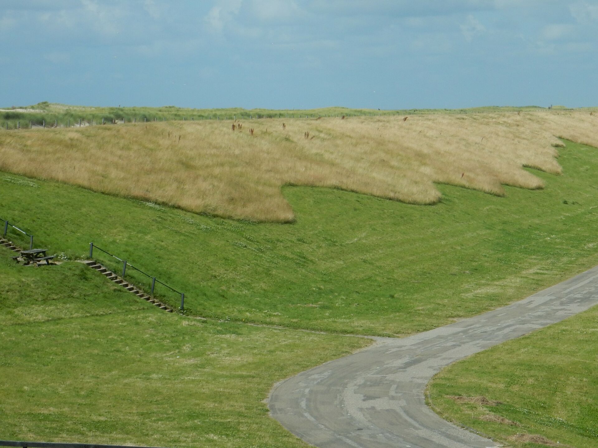 Het sinusbeheer is een vorm van ecologisch bermbeheer