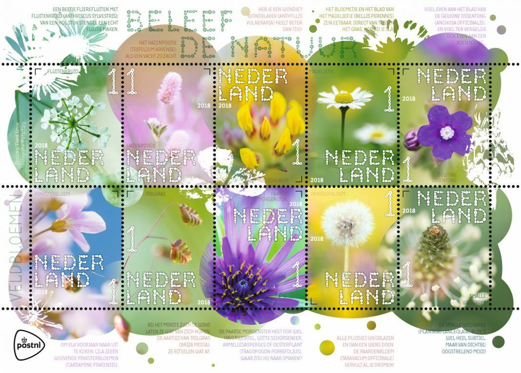 Veldbloemen postzegels