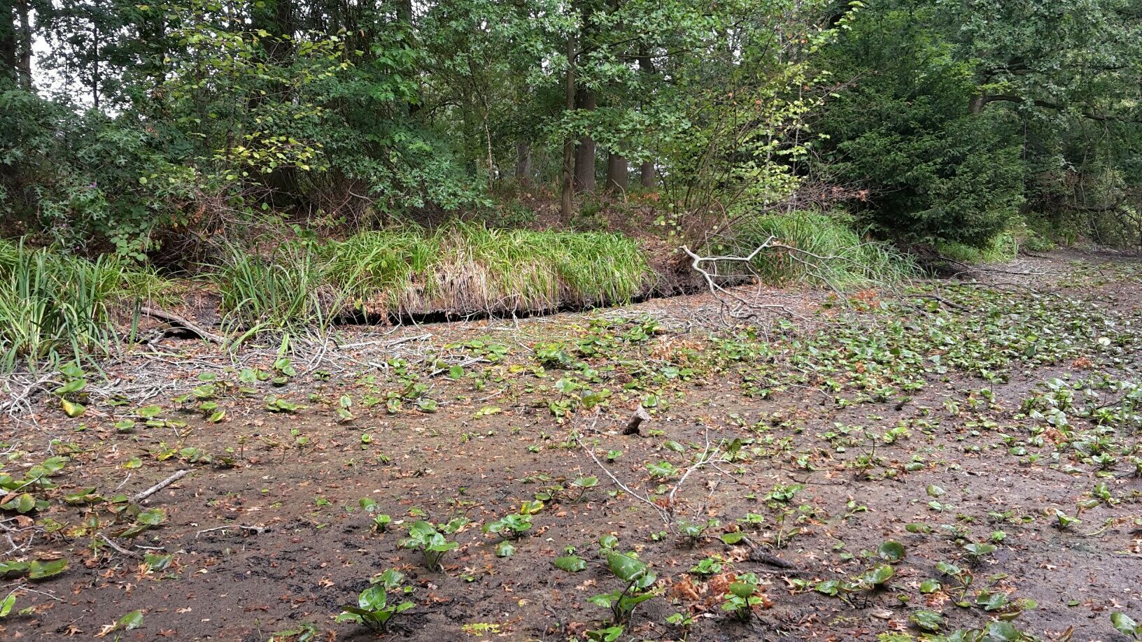 Studiedag Groen Erfgoed En Klimaatverandering Hortipoint