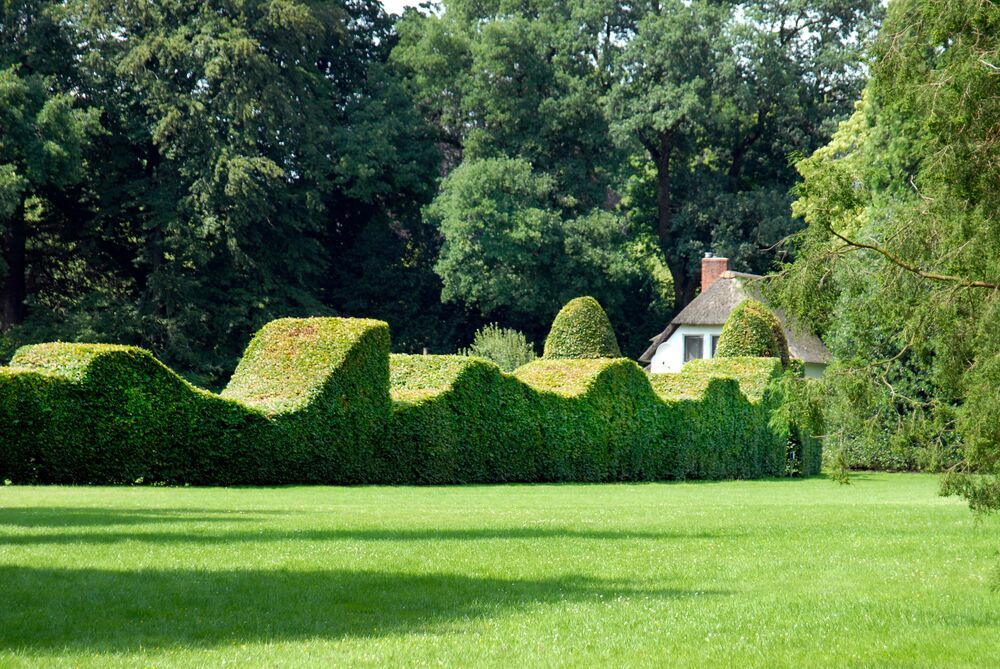 Landgoed Oranjewoud Friesland