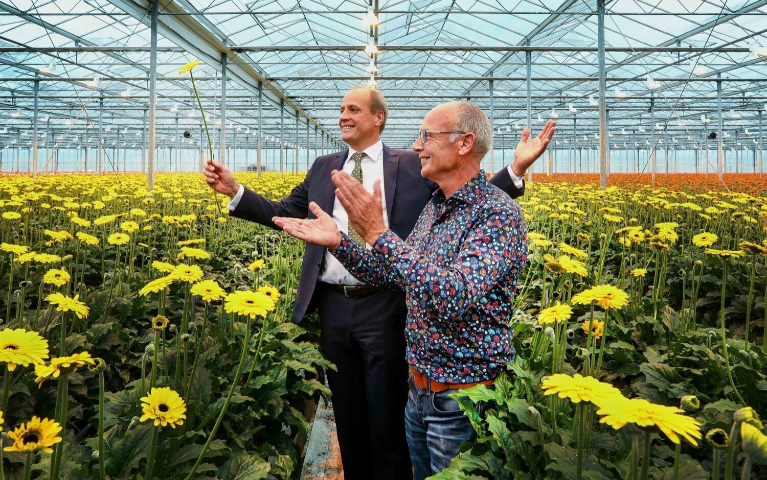 vangst Boomgaard intellectueel Jumbo lanceert als eerste supermarkt eigen bloem - Hortipoint