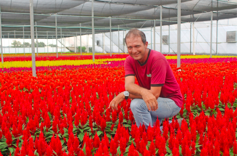 Expansie in Brazilië: Mijn droom is om alle planten op WPS te zetten