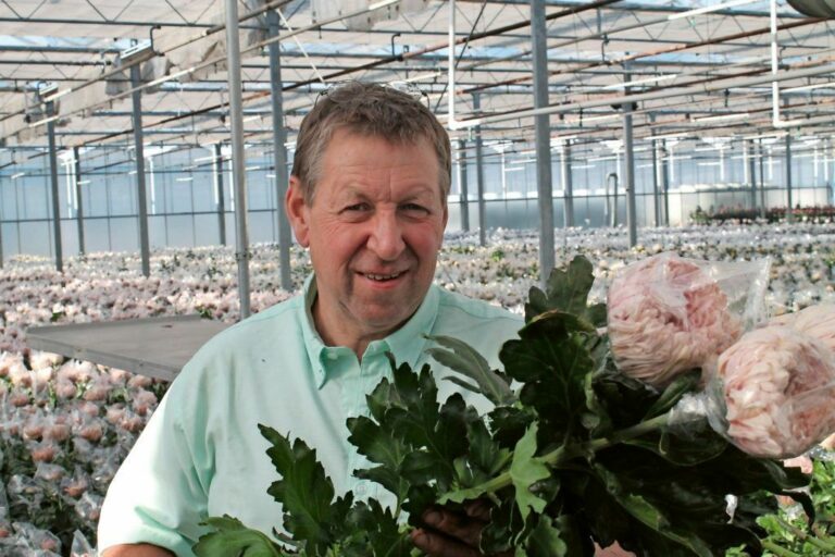 André Knoppert: ’Als het zou helpen, slaap ik bij de chrysanten’