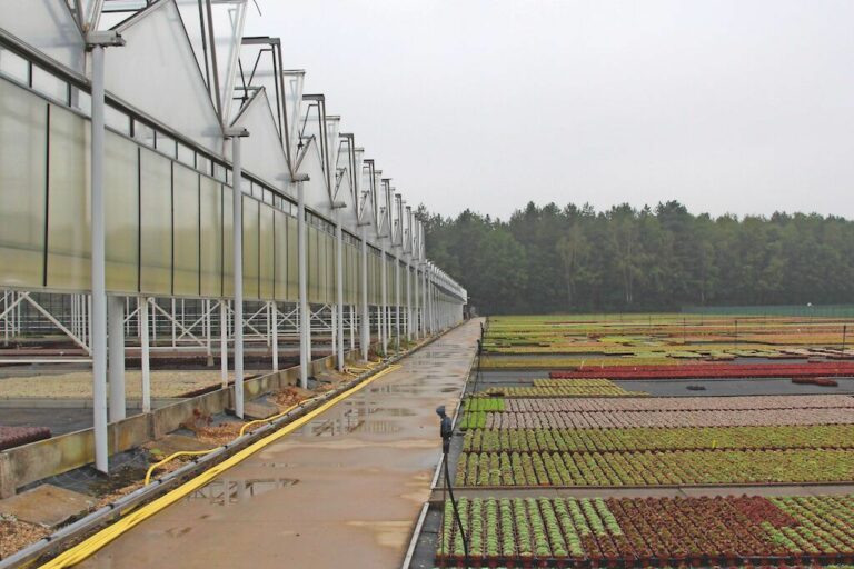 Ondersteunend glas blijft achter met zuiveringsplicht