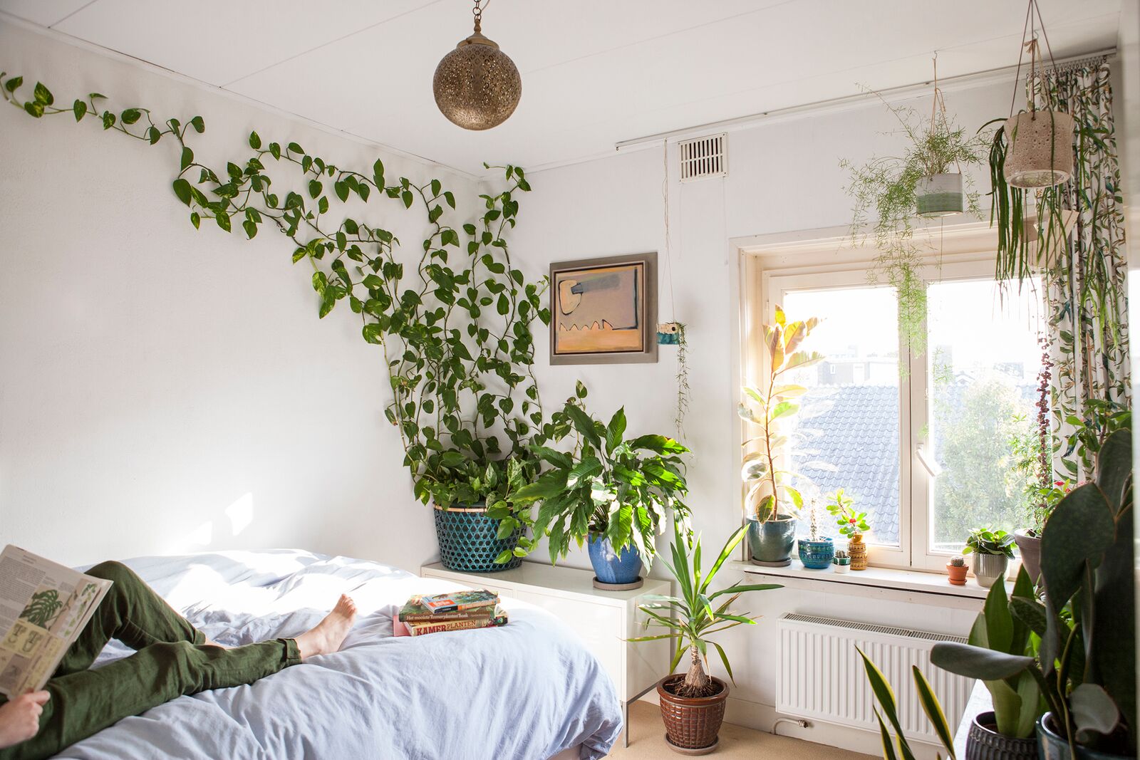 Комната без растений. Комната с растениями. Комнатные растения в спальне. Комнатные растения в интерьере.