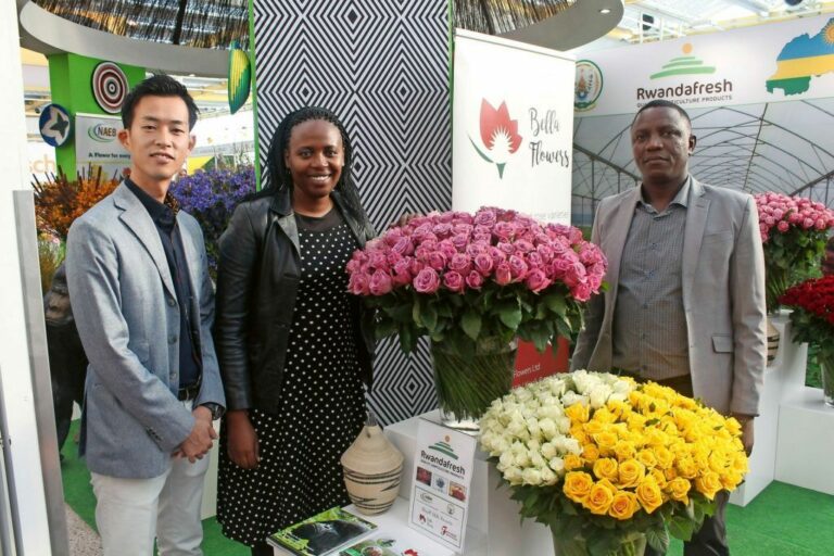 Rwanda: who will invest in floriculture?