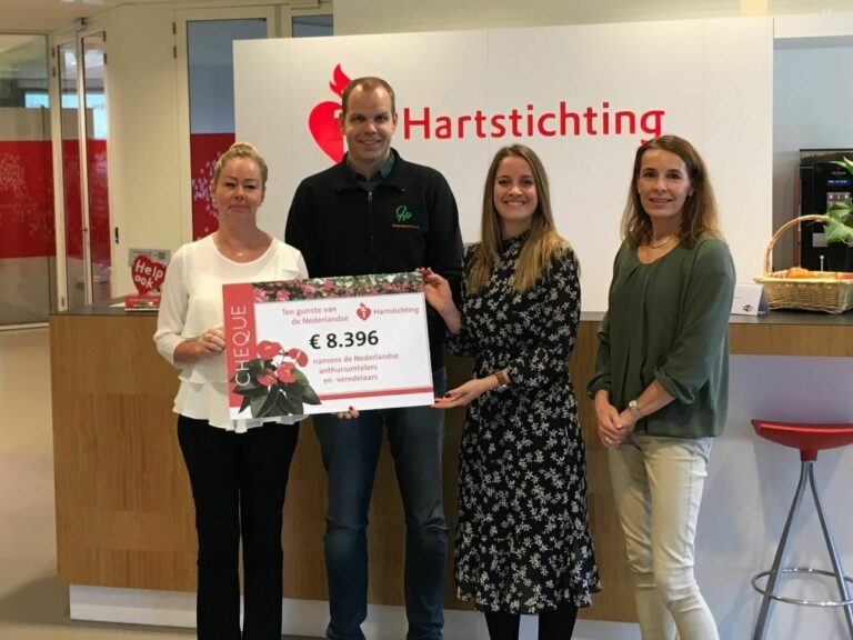 Anthuriumactie voor de Hartstichting brengt 8.396 euro op