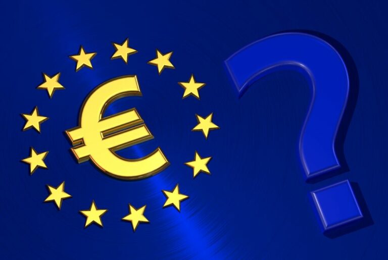 Wat gaat de twintig jaar oude euro in 2019 doen?