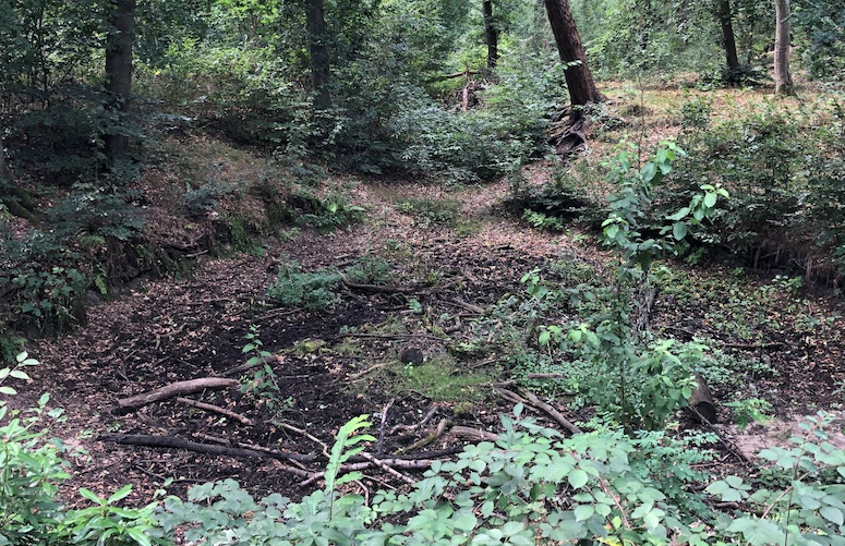 Droogte groen erfgoed