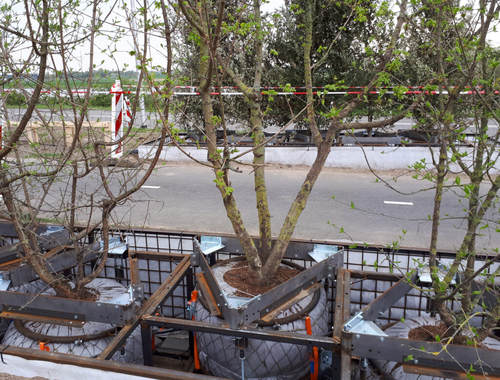 Het boomverenproject breidt uit. Op de foto boomveren in de proefopstelling langs de N225 bij Remmerden.