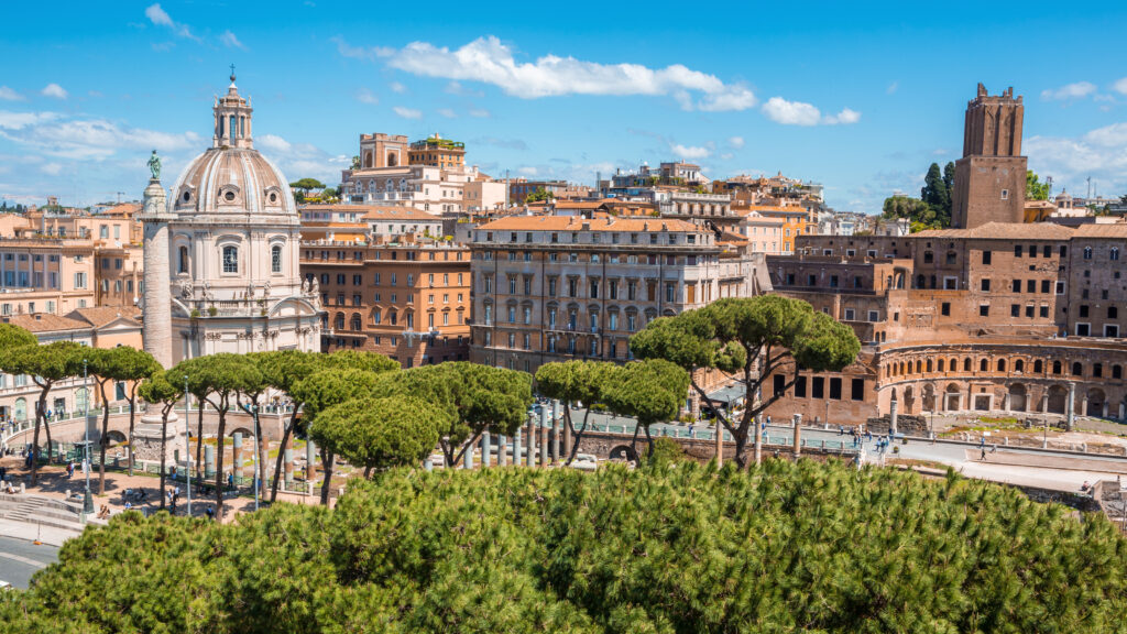 Nog niet aangetaste Pinus pinea in Rome