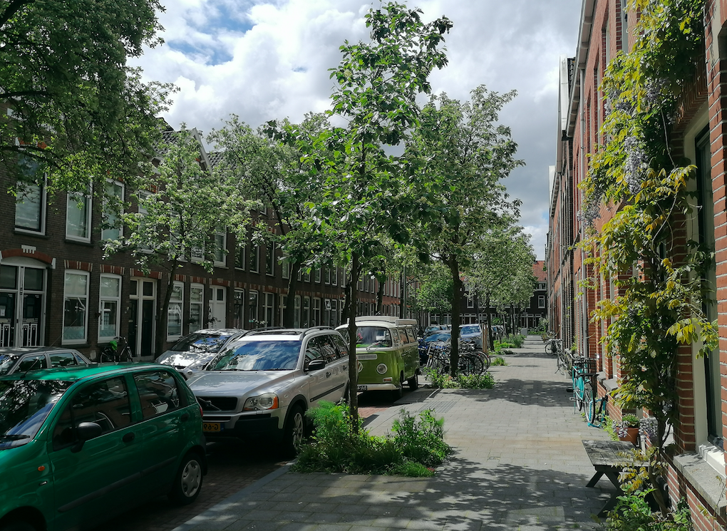 Handreiking Omgevingswet en Bomen