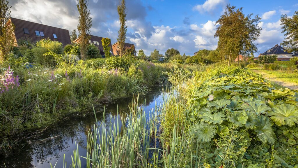 groene stad challenge