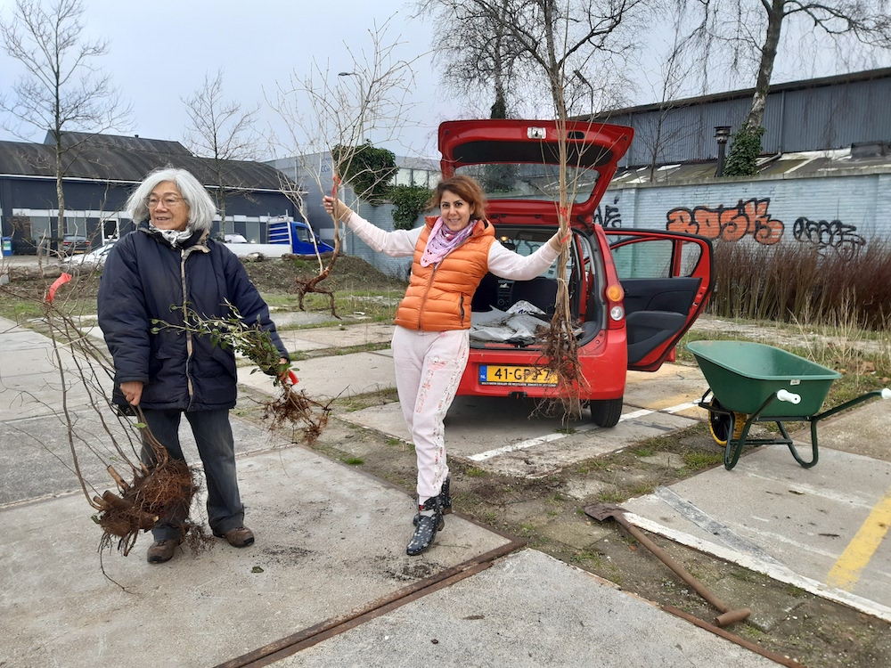 Gratis bomen ophalen